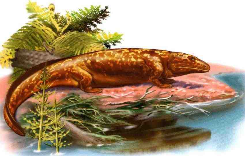 Динозавры - i_014.jpg