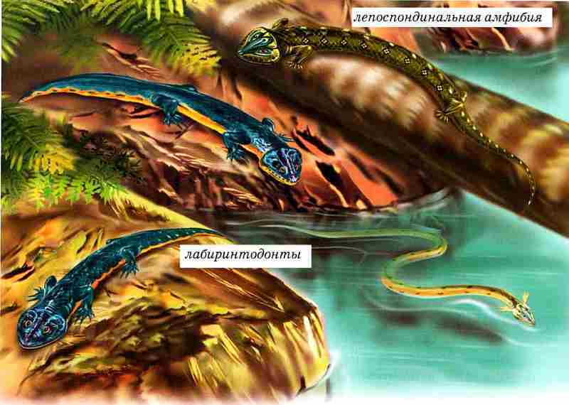 Динозавры - i_015.jpg