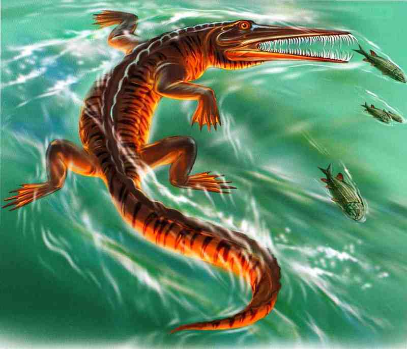 Динозавры - i_017.jpg