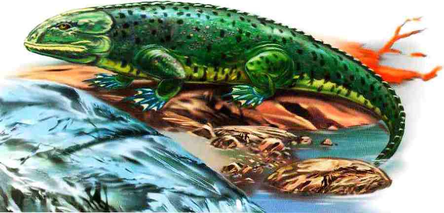 Динозавры - i_018.jpg