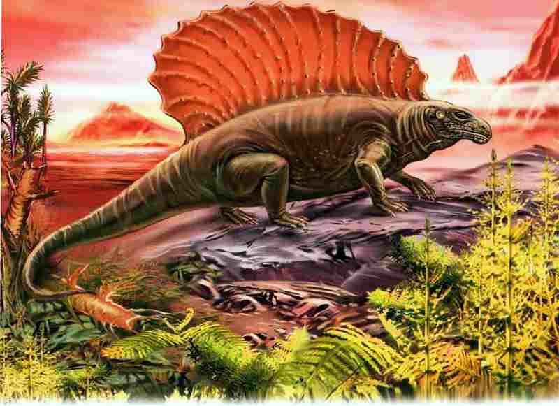 Динозавры - i_019.jpg