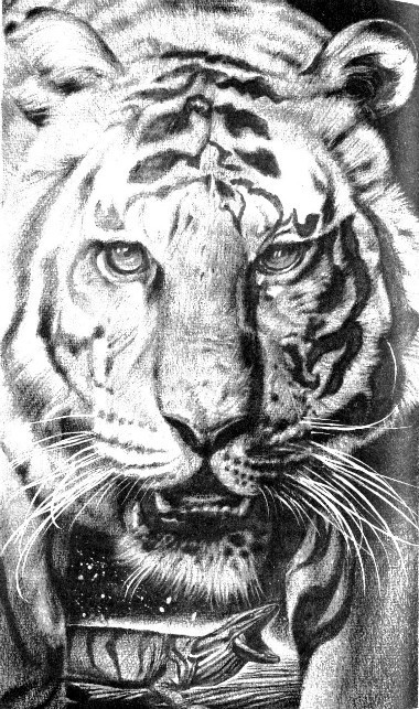 Ключи к декабрю (сб.) - i_006.jpg