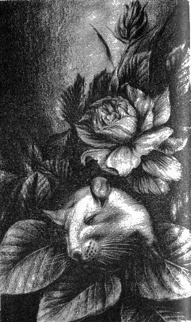 Ключи к декабрю (сб.) - i_008.jpg