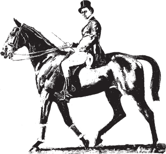 Шерлок Холмс. 5 минут на расследование - i_012.png