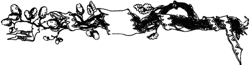 Козыри судьбы - i_003.png