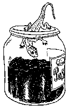 Я - кот и мореплаватель - pic_15.png