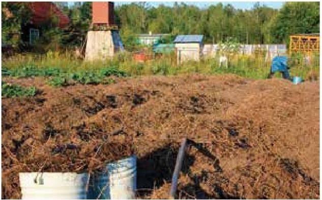 Рабочий календарь дачника, или Рабочие будни на даче - b00000417.jpg