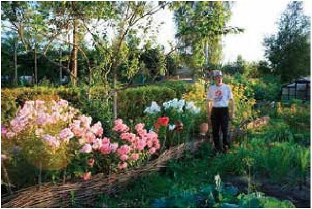 Рабочий календарь дачника, или Рабочие будни на даче - b00000435.jpg