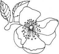 Увлекательные сказки о важном - i_007.jpg