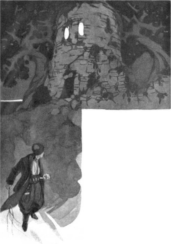 Безумный лама<br />(Рассказы) - i_006.jpg