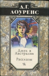  Лоуренс Дэвид Герберт - Избранные произведения в 5 томах. Книга 4. Рассказы