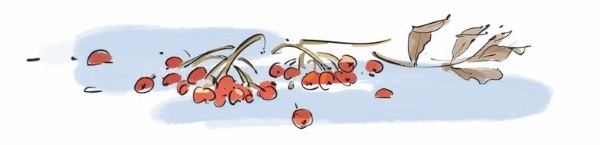 Грустный гном, весёлый гном - i_005.jpg