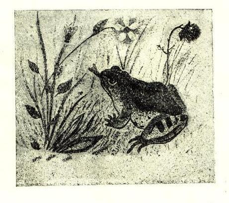 Жабка. Кіт. Собака - doc2fb_image_02000003.jpg