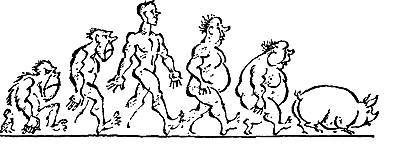 Кухня холостяка - _34.jpg