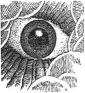 Рожденный атомом! (ЛП) - doc2fb_image_02000002.jpg