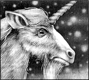 Путеводитель по замку Амбер - i_063.jpg