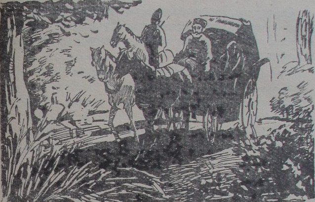 Нуреддин - image03.jpg