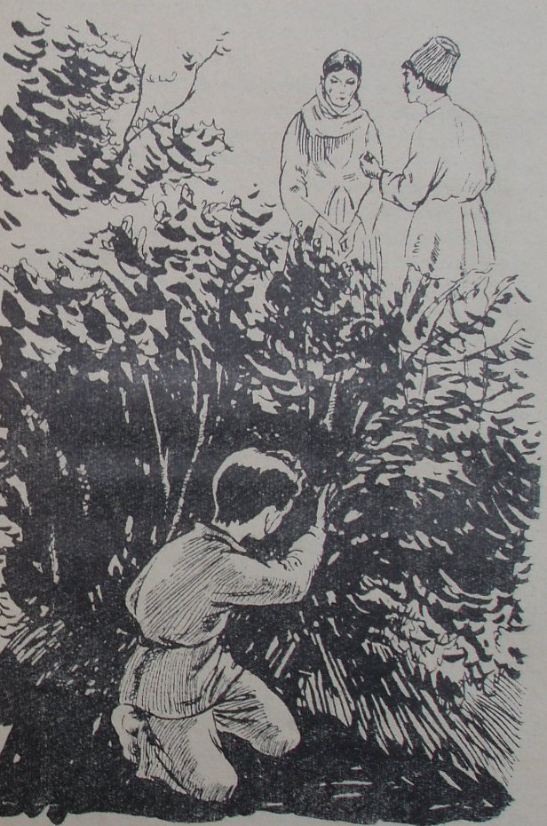 Нуреддин - image06.jpg