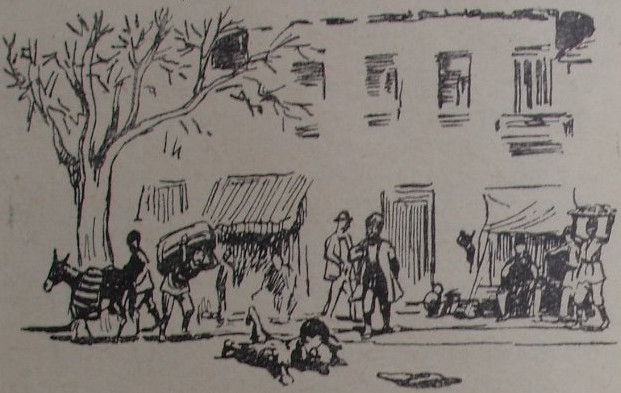 Нуреддин - image07.jpg