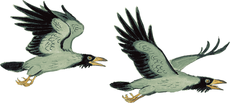 Иван-царевич и серый волк. Сказки - i_002.png