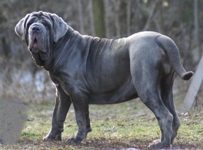 Шёлковые тени Паутины - _2.jpg