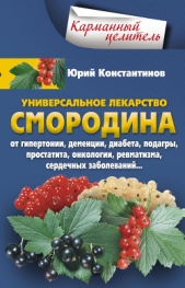 Универсальное лекарство смородина. От гипертонии, деменции, диабета, подагры, простатита, онкологии, - автор Константинов Юрий 
