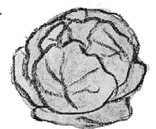 Сотворение мира (сборник) - _019.png