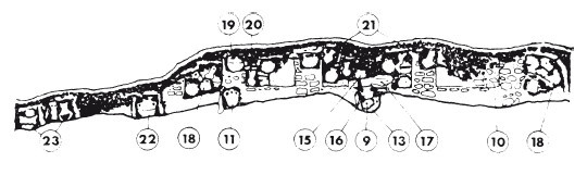 Карфаген. Летопись легендарного города-государства с основания до гибели - i_007.jpg