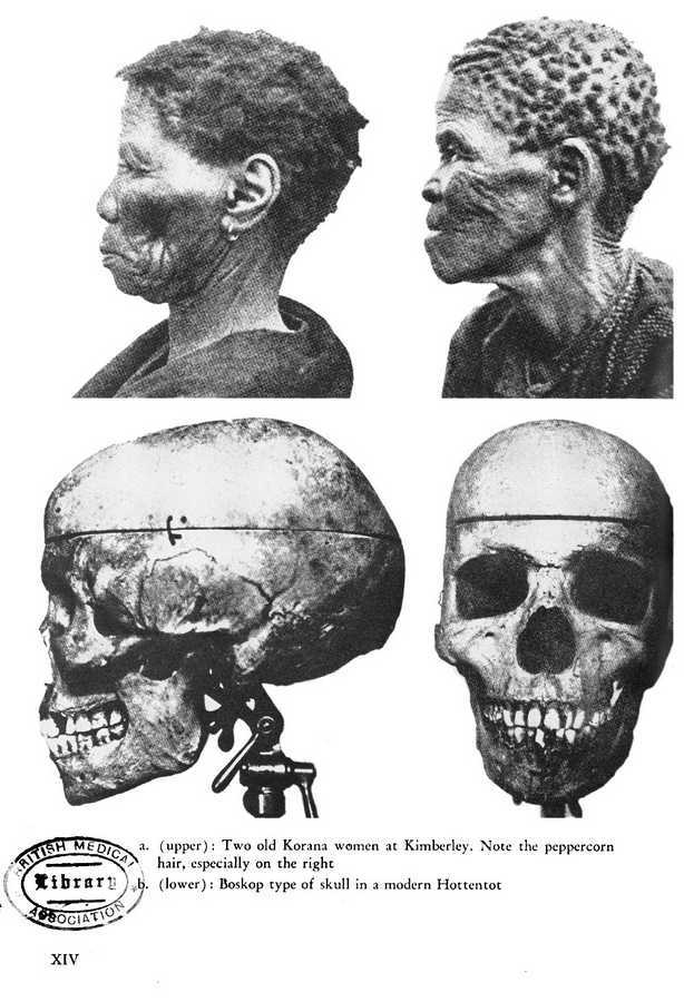 Самые сенсационные материалы - i_010.jpg