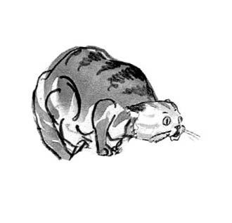 Бывает и такое! Весёлые школьные рассказы - i_011.jpg