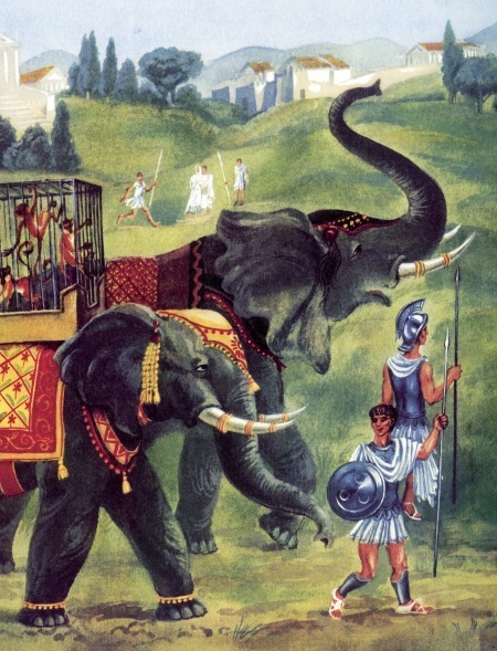 Где живёт единорог? или Зоологические истории - i_012.jpg