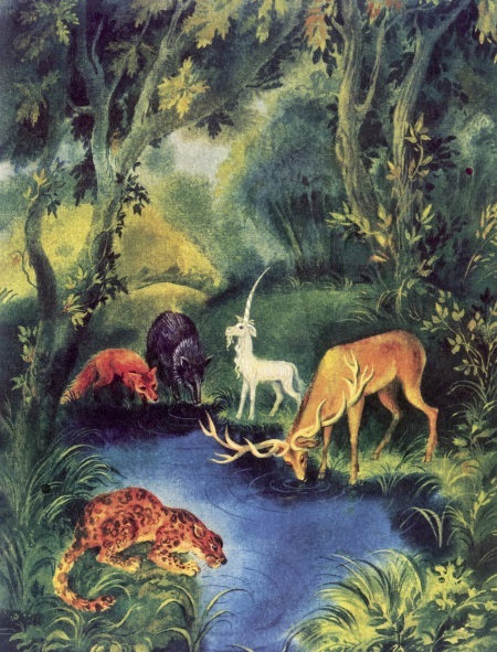 Где живёт единорог? или Зоологические истории - i_019.jpg