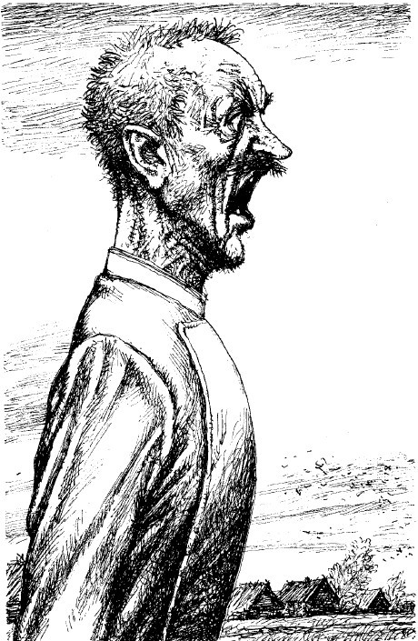 Лошадиная фамилия. Рассказы и водевили - i_009.jpg