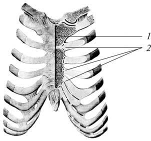 Заболевания позвоночника и суставов - i_014.jpg