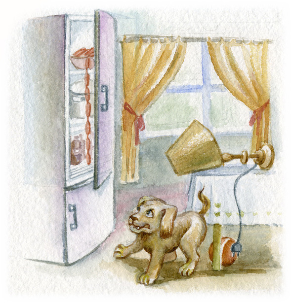 Мой щенок - image9_5964bc7a8496e50700a73a06_jpg.jpeg