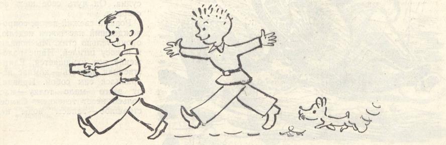 Кокон сатурнии - img8C91.jpg