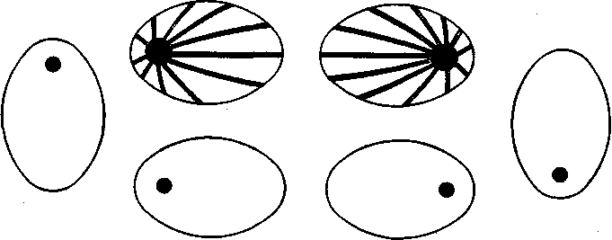 Социальное поведение животных - img_61.png