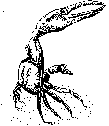 Социальное поведение животных - img_69.png