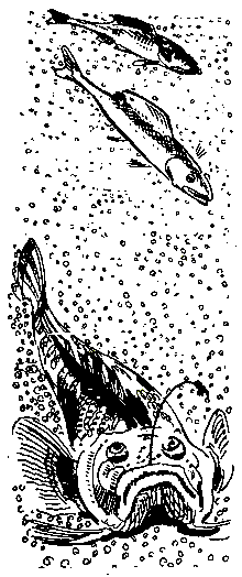 Ошибка короля зоопарков - pic_23.png