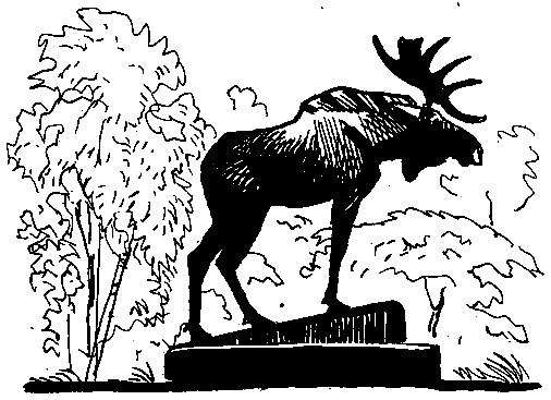 Ошибка короля зоопарков - pic_114.png