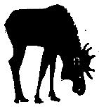 Ошибка короля зоопарков - pic_121.png