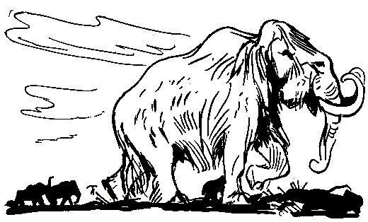 Ошибка короля зоопарков - pic_132.png