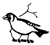 Ошибка короля зоопарков - pic_45.png