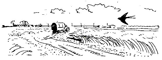 Ошибка короля зоопарков - pic_47.png