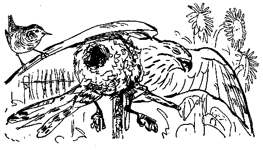 Ошибка короля зоопарков - pic_57.png