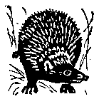 Ошибка короля зоопарков - pic_61.png