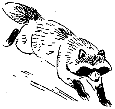 Ошибка короля зоопарков - pic_82.png