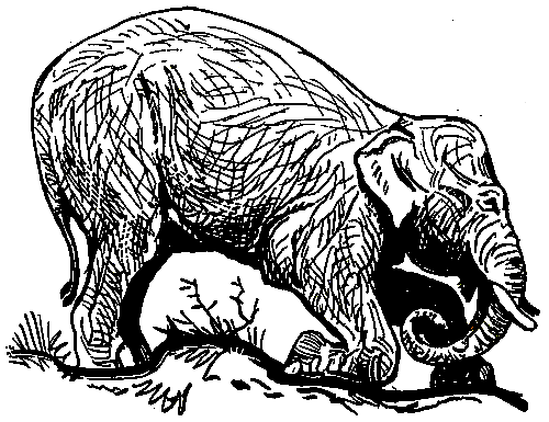 Ошибка короля зоопарков - pic_83.png