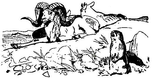 Ошибка короля зоопарков - pic_85.png