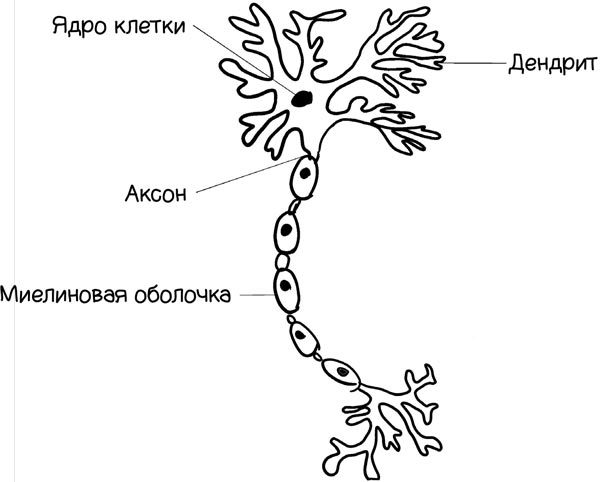 Как запомнить все! Секреты чемпиона мира по мнемотехнике - i_006.jpg